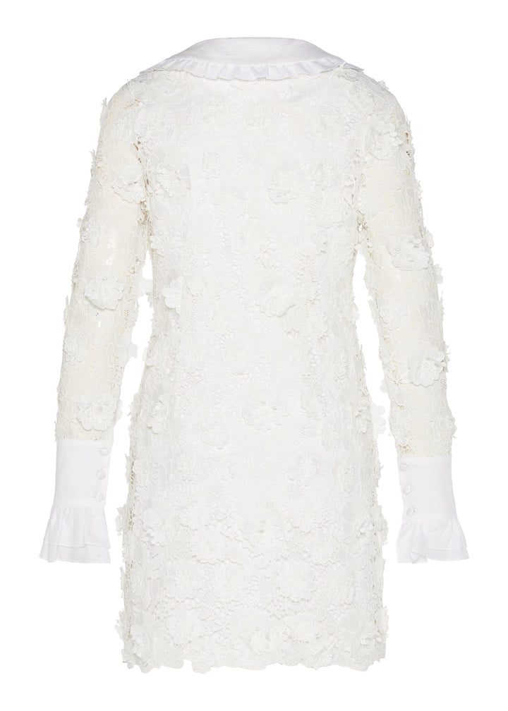 VITTORIA LACE DRESS